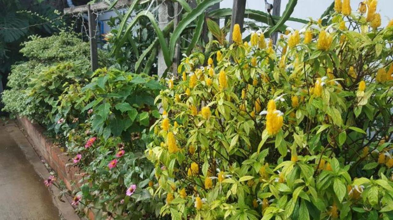 마이묘 사 칸 타 호텔 핀우린 외부 사진
